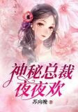 神秘总裁，夜夜欢