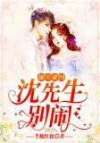嫁入豪门：沈先生，别闹