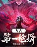 万古第一枪婿